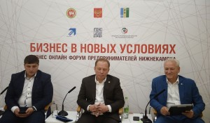 В Нижнекамске пройдет онлайн-встреча с депутатом Государственной думы Российской Федерации Айдаром Метшиным